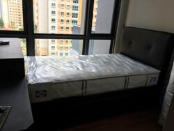 Parc Centros (D19), Condominium #462016181